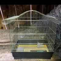 Gabbie per canarini o pappagalli