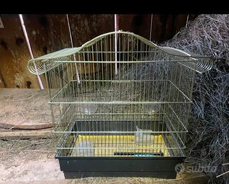 Gabbie per canarini o pappagalli