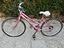 Immagine 6
