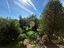Immagine 12
