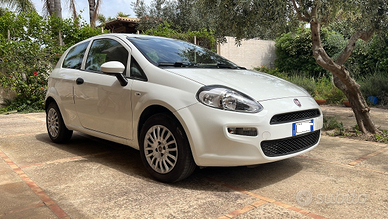 fiat punto street