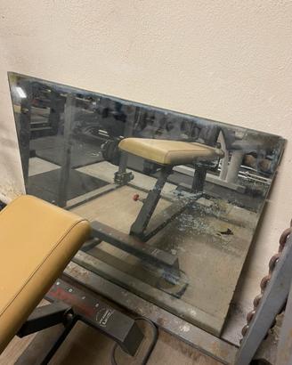 Specchio palestra