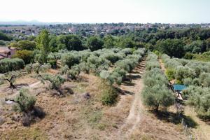 TER. AGRICOLO A FIANO ROMANO
