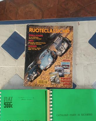 documentazione informativa Topolino