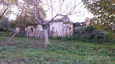 Silvi: Terreno con rudere vista mare