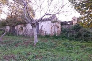 Silvi: Terreno con rudere vista mare