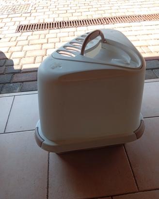 lettiera per gatti 