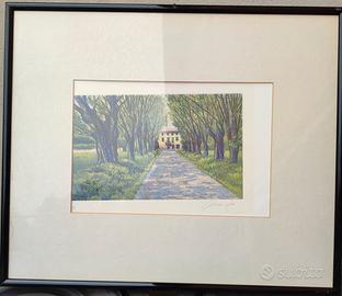 acquaforte di masi oliviero