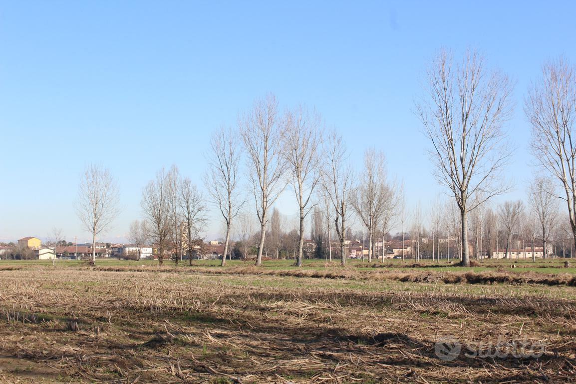 TER. AGRICOLO A VAIANO CREMASCO - Altro