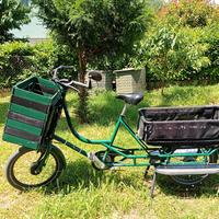 Bici capace modello Just long