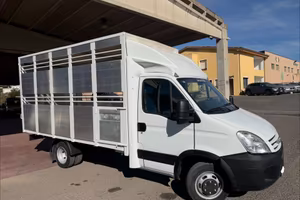 Iveco Daily 35C15 3.0 150cv trasporto animali vivi