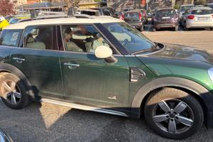 Countryman  D - 2.0