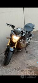 Honda hornet