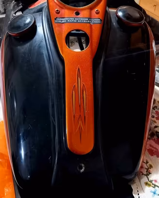 carrozzeria Harley Davidson softail 