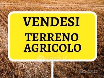 Terreno agricolo c/o la Fenice