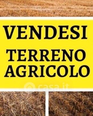 Terreno agricolo c/o la Fenice