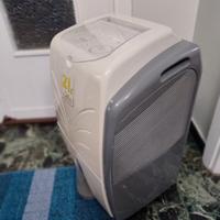 Deumidificatore DeLonghi Tasciugo AriaDry DE210
