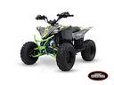 lem-motor-quad-kondor-125cc-my-2026