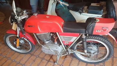 MV AUGUSTA SPORT 1977