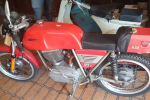 MV AUGUSTA SPORT 1977
