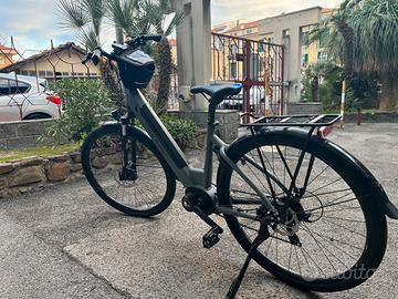 Ebike