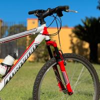 Bicicletta MTB rossa