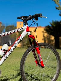 Bicicletta MTB rossa