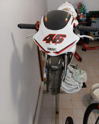 Minimoto DM
