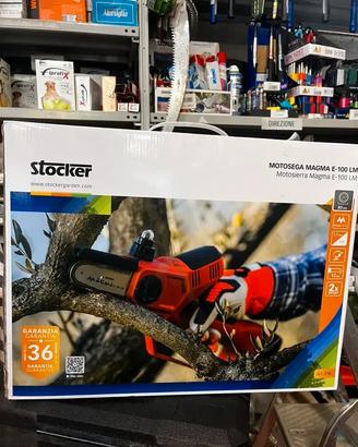 Motosega elettrica Stocker