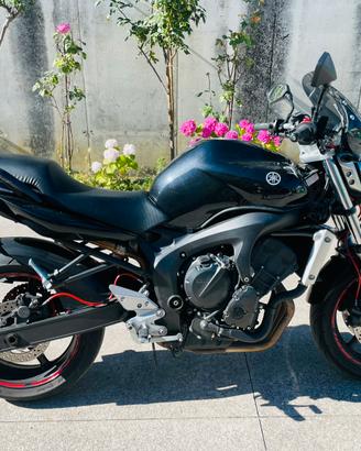 Yamaha fz6