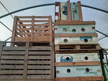 bins in legno