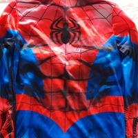 Costume spiderman