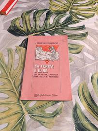 libro la ferita e il re tilde giani gallino