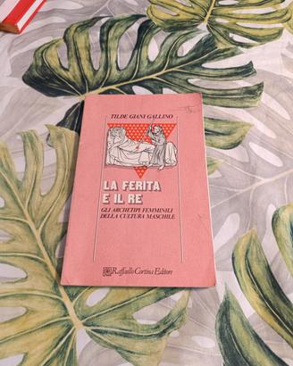 libro la ferita e il re tilde giani gallino