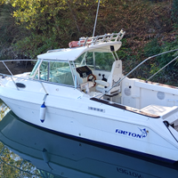 Semicabinato faeton moraga 7,10 diesel