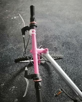 Bici