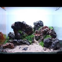 Acquario 90 litri completo