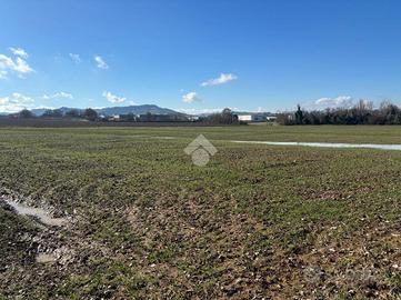 TER. AGRICOLO A VALSAMOGGIA