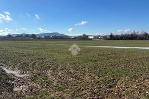 TER. AGRICOLO A VALSAMOGGIA