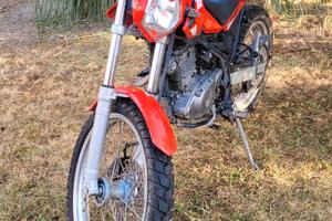 Beta Alp 200