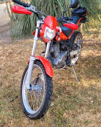 Beta Alp 200