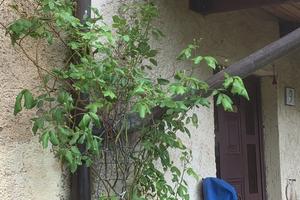 Appartamento, casolare , casa in pietra in collina