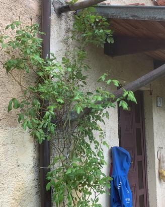 Appartamento, casolare , casa in pietra in collina