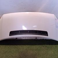 COFANO ANTERIORE FORD Transit Serie 2454107 PHFA/C