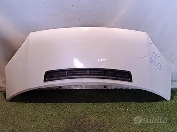 COFANO ANTERIORE FORD Transit Serie 2454107 PHFA/C