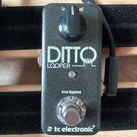 Ditto looper