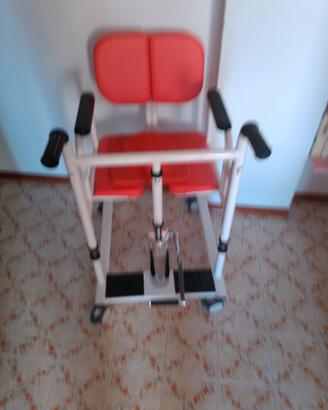 Sollevatore per disabili