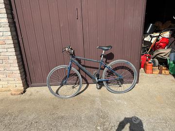 Bicicletta moutain bike