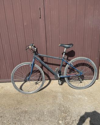 Bicicletta moutain bike