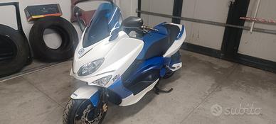 T MAX 2004